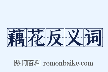 藕花反义词是什么意思的图片